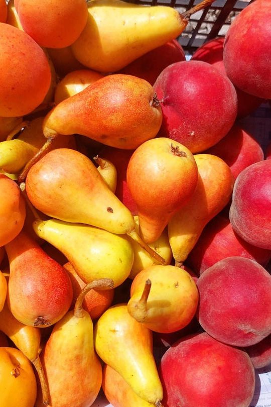 Žnidarjev mix sadja